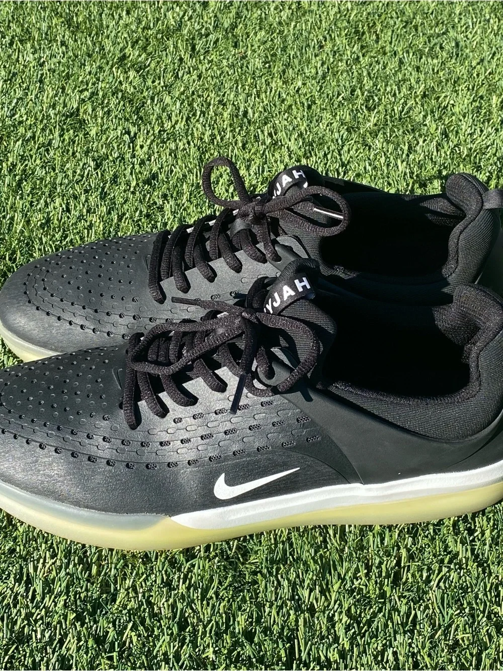 Nike sb zoom